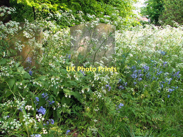 Photo 6"x4" The Gildencroft Quaker Cemetery, Norwich Norwich c2011 P3