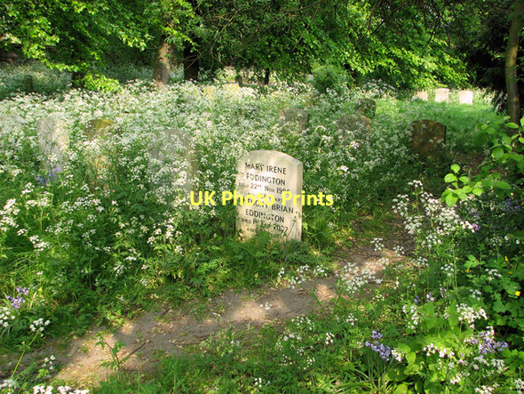 Photo 6"x4" The Gildencroft Quaker Cemetery, Norwich Norwich c2011 P4