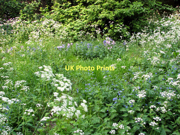 Photo 6"x4" The Gildencroft Quaker Cemetery, Norwich Norwich c2011 P6