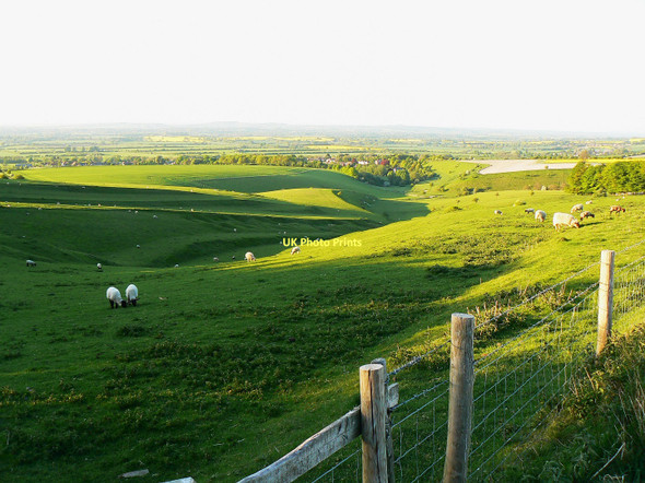 Photo 6"x4" Coombe south of Bishopstone, Swindon Bishopstone\/SU2483 c2011