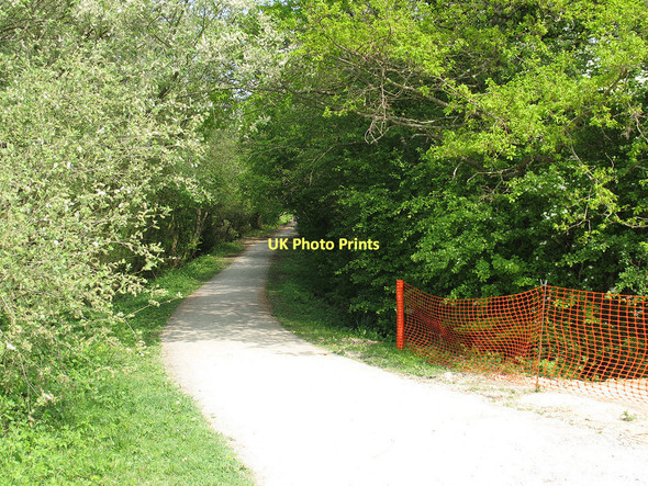 Photo 6"x4" The Cuckoo Trail near Summer Hill Hailsham c2011