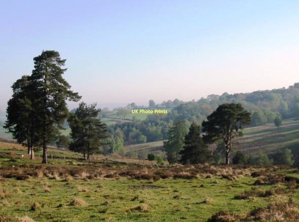 Photo 6"x4" View from Old Lodge Nature Reserve Newbridge\/TQ4532 c2011