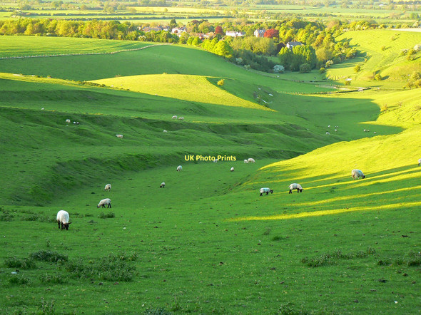 Photo 6"x4" At the head of the coombe south of Bishopstone, Swindon Bishopstone\/SU2483 c2011