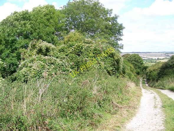 Photo 6"x4" Bridleway, Faulston Down Bishopstone\/SU0725 c2009
