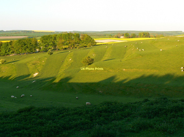 Photo 6"x4" Strip Lynchets in the evening sun, Bishopstone, Swindon Bishopstone\/SU2483 c2011