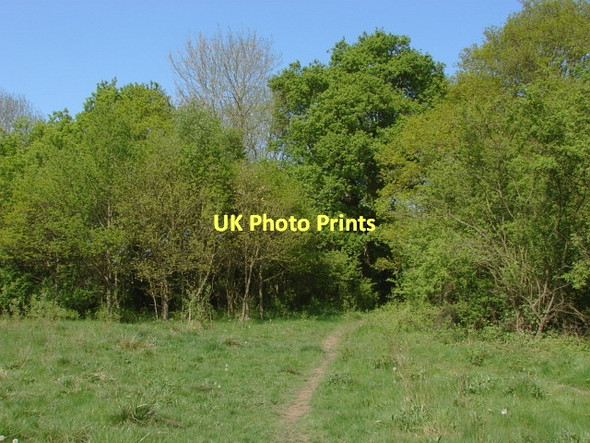 Photo 6"x4" Footpath near Ash Ash Green\/SU9049 c2011