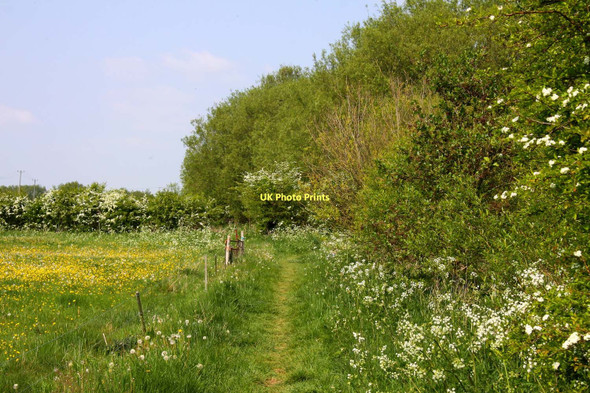 Photo 6"x4" The Thames Path to Dorchester Meadside c2011