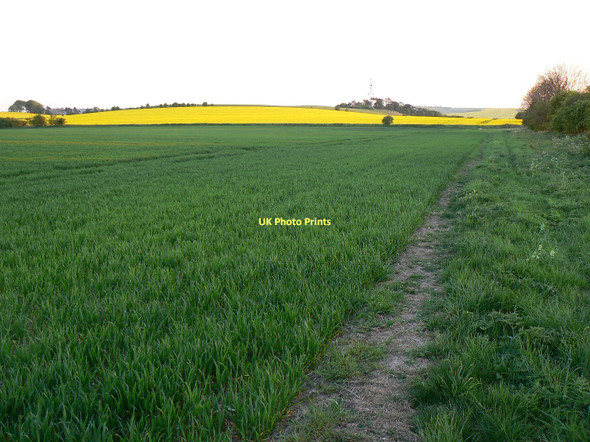 Photo 6"x4" Just off the Ridgeway, south-east of Hinton Parva Bishopstone\/SU2483 c2011