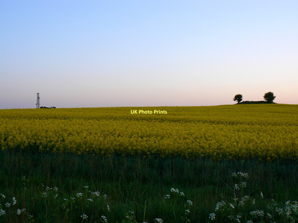 Photo 6"x4" Farmland west of Charlbury Hill, Swindon Bishopstone\/SU2483 c2011