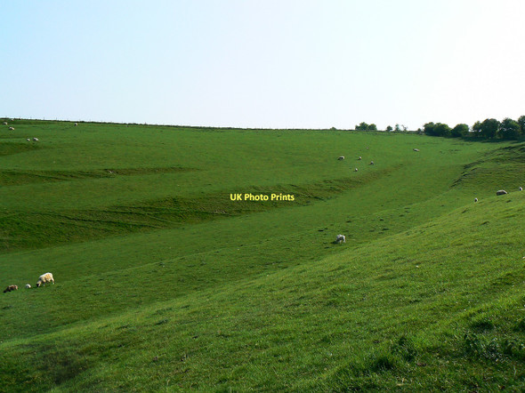 Photo 6"x4" The western end of the strip lynchets, south of Bishopstone, Swindon Bishopstone\/SU2483 c2011