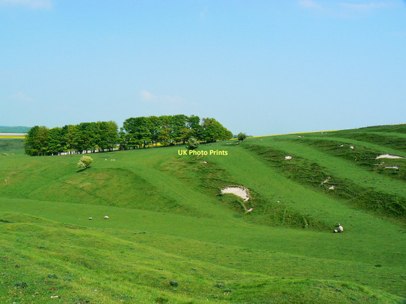Photo 6"x4" The eastern end of the strip lynchets, south of Bishopstone, Swindon Bishopstone\/SU2483 c2011