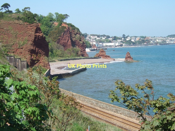 Photo 6"x4" Horse Cove Dawlish c2011