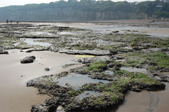 Photo 6"x4" Low tide at Cliff End, Pett Cliff End\/TQ8813 c2011