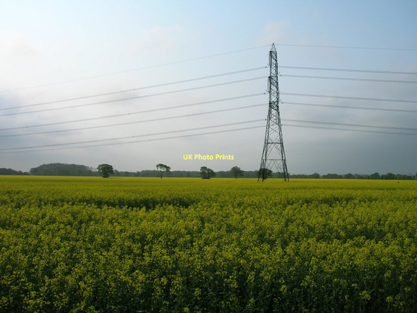 Photo 6"x4" Farmland, White Carr Hall Garth\/SE6751 c2011