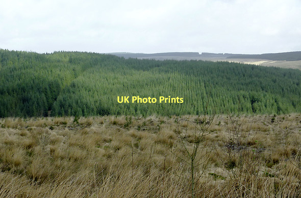 Photo 6"x4" Tywi forest across Cefn Isaf and Bryn Mawr, Ceredigion Nant Cwm-du\/SN7955 c2011