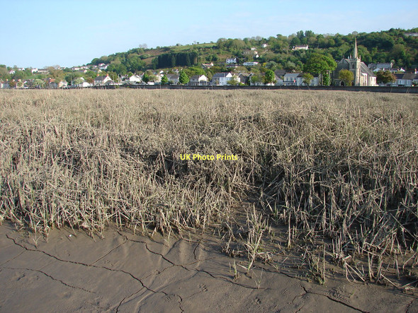 Photo 6"x4" Pen-clawdd from Dalton's Point Blue Anchor\/SS5495 c2011