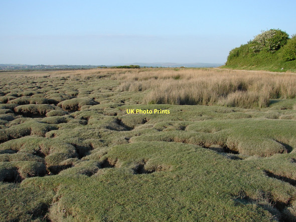 Photo 6"x4" Saltmarsh at Salthouse Point Crofty\/SS5295 c2011