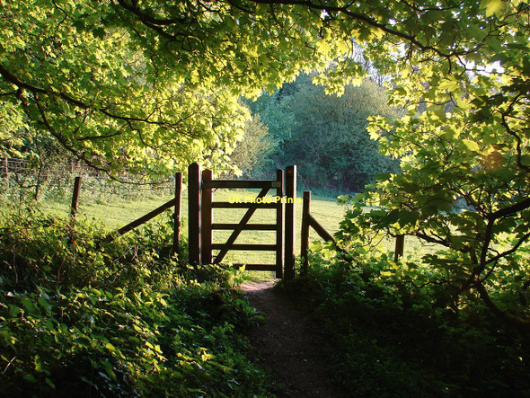 Photo 6"x4" Green gate Leason c2011