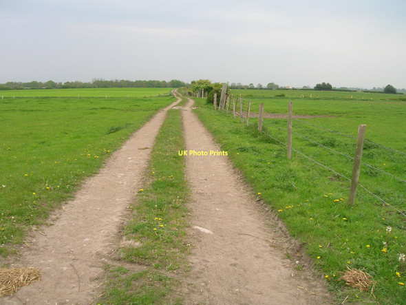Photo 6"x4" Farm track off Moor Lane Murton\/SE6552 c2011