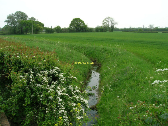 Photo 6"x4" Beck off Moor Lane Murton\/SE6552 c2011