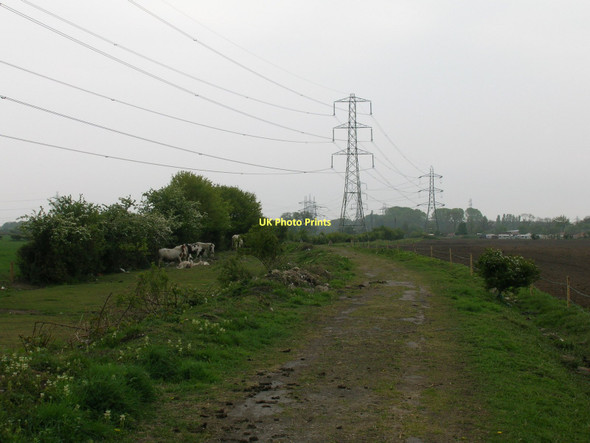 Photo 6"x4" Outgang Lane heading South Osbaldwick c2011
