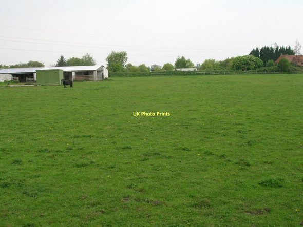 Photo 6"x4" Grazing Land off Stockton Lane Tang Hall\/SE6252 c2011