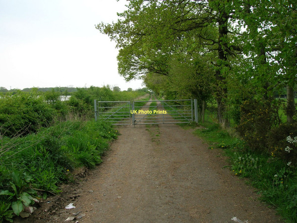 Photo 6"x4" Track (bridleway) off North Lane heading north Stockton on the Forest c2011