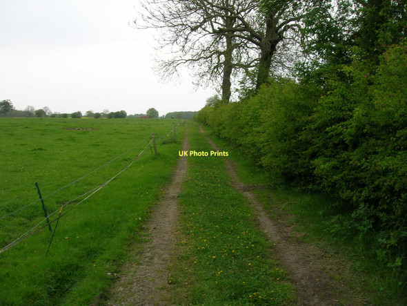 Photo 6"x4" Bridleway heading north Towthorpe\/SE6358 c2011