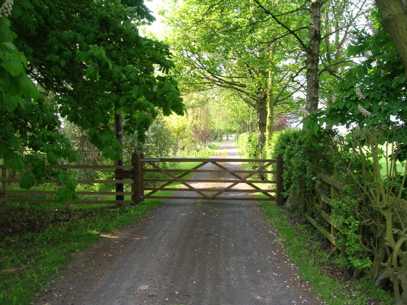 Photo 6"x4" Track to Plantation Farm Haxby c2011
