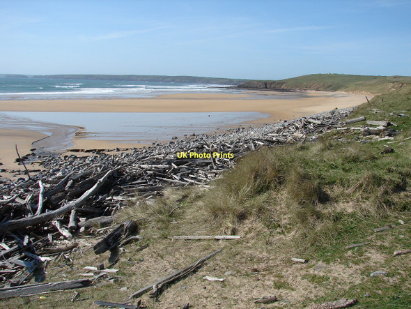 Photo 6"x4" Home to the Strandline Beetle Castlemartin c2011