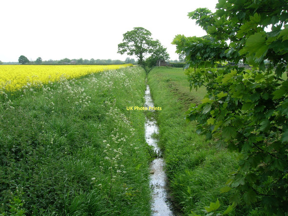Photo 6"x4" Drainage ditch off Low Lane Heslington c2011