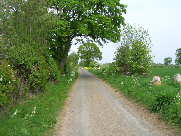 Photo 6"x4" Low Lane Grimston\/SE6451 c2011