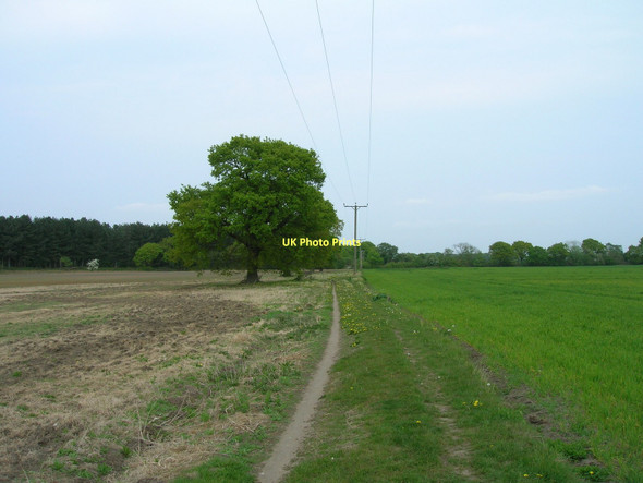Photo 6"x4" Bridleway near Langwith Lodge Hall Garth\/SE6751 c2011