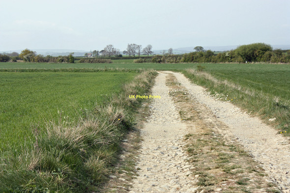 Photo 6"x4" Bridleway and track to Highfield Farm Normanby\/SE7381 c2011
