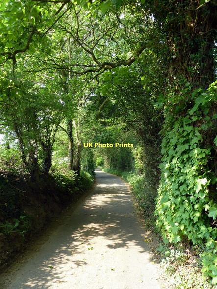 Photo 6"x4" Country Lane  Hathersage c2011
