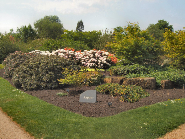 Photo 6"x4" Japanese garden display Ardingly c2011