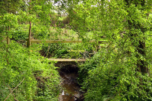 Photo 6"x4" Footbridge over the stream in Newington Great Holcombe c2011