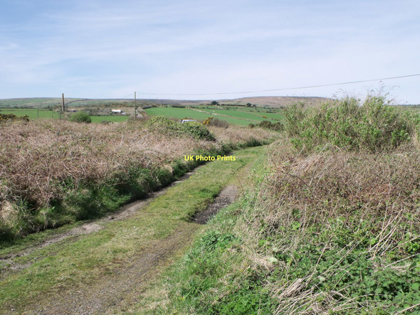 Photo 6"x4" Track near Balnoon, Cornwall Balnoon\/SW5038 c2011