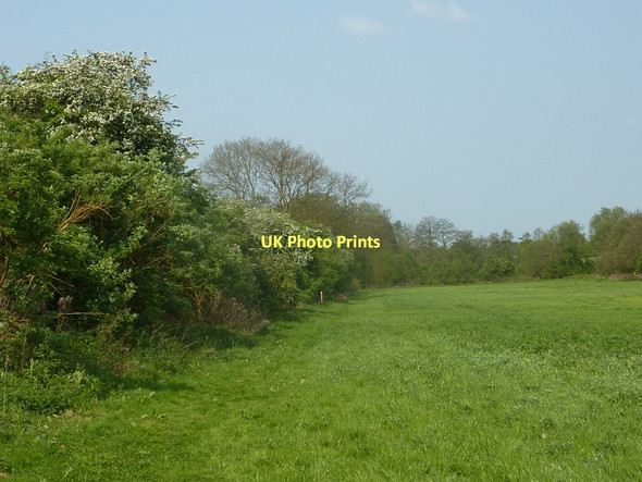 Photo 6"x4" Meadow by the railway line Furnace End c2011