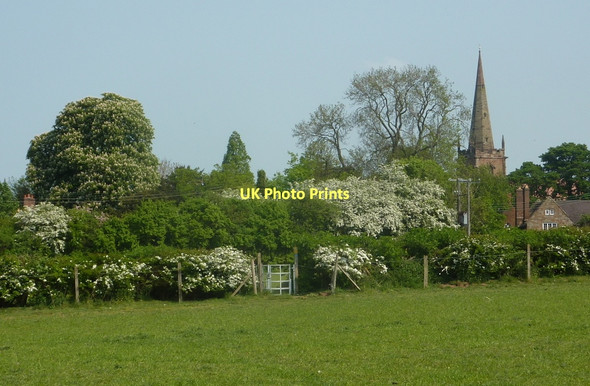 Photo 6"x4" Path towards Church End Church End\/SP2490 c2011