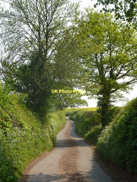 Photo 6"x4" Moat House Lane Church End\/SP2490 c2011