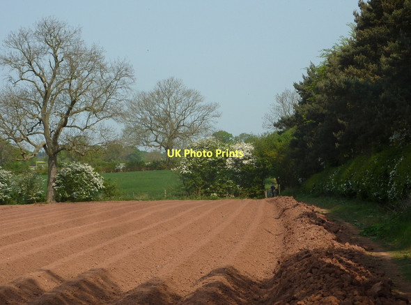 Photo 6"x4" Path by The Metlins Church End\/SP2490 c2011