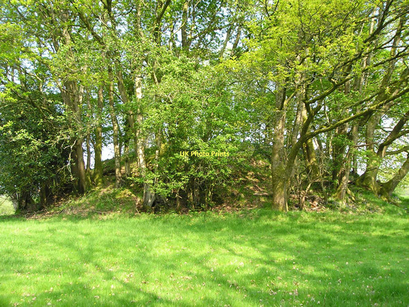 Photo 6"x4" Castell Nonni Llanllwni c2011