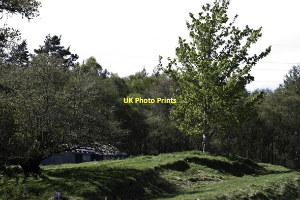 Photo 6"x4" Track, tree and barn Culrain c2011