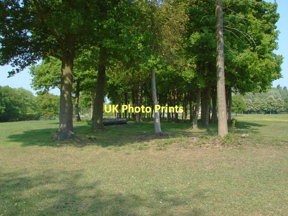 Photo 6"x4" Rural scene, Windlesham Hatton Hill\/SU9364 c2011