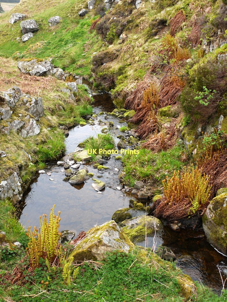 Photo 6"x4" Spartley Burn Alnham c2011