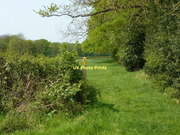 Photo 6"x4" Footpath by Shawbury Wood Over Whitacre c2011