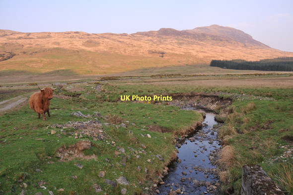 Photo 6"x4" Small stream in Glen Forsa Beinn nan Lus\/NM5940 c2011