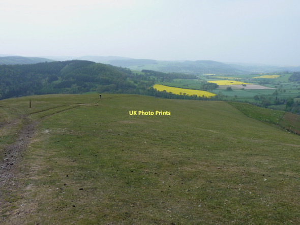 Photo 6"x4" A long flog up Churchmoor Rough c2011