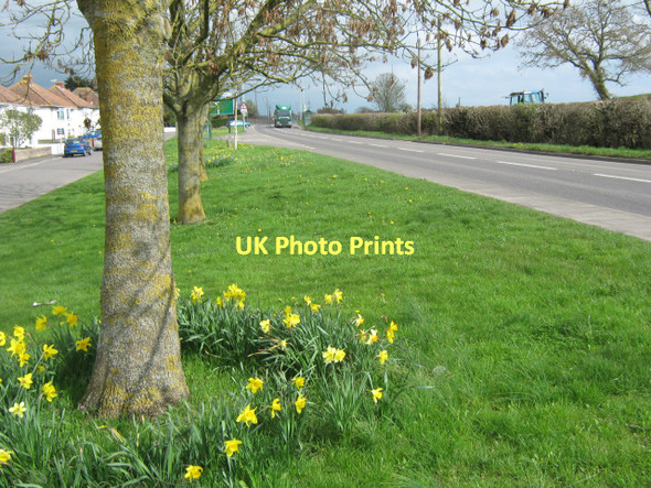 Photo 6"x4" The A39 at Walton Street\/ST4836 c2011